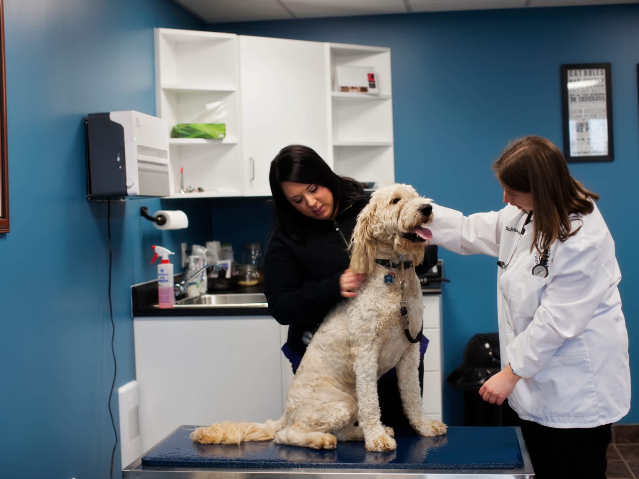 photo Gander Veterinary Clinic