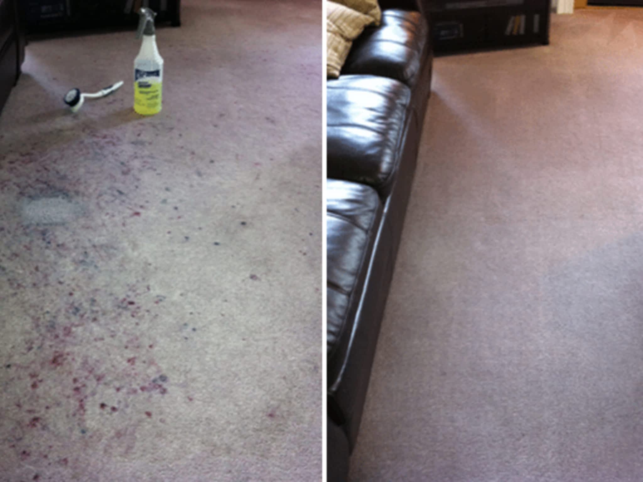 photo Santos Carpet Care