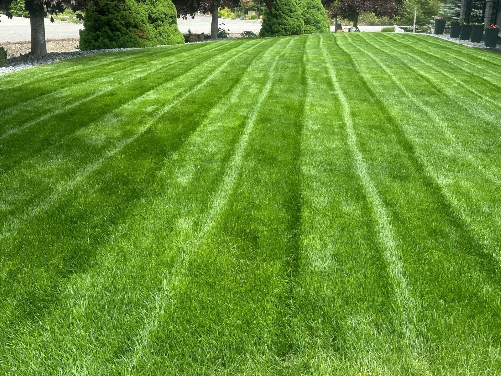 photo S.V.S. Services