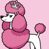 Shampoodles Pet Spa - Toilettage et tonte d'animaux domestiques