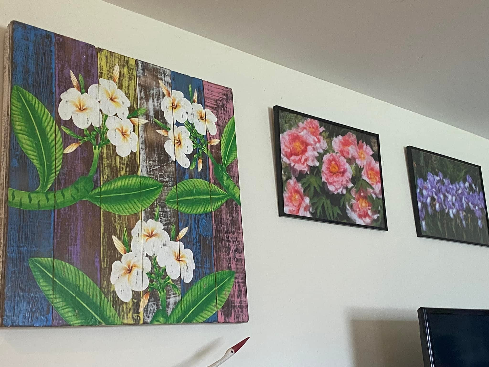 photo Sunset Cleaning