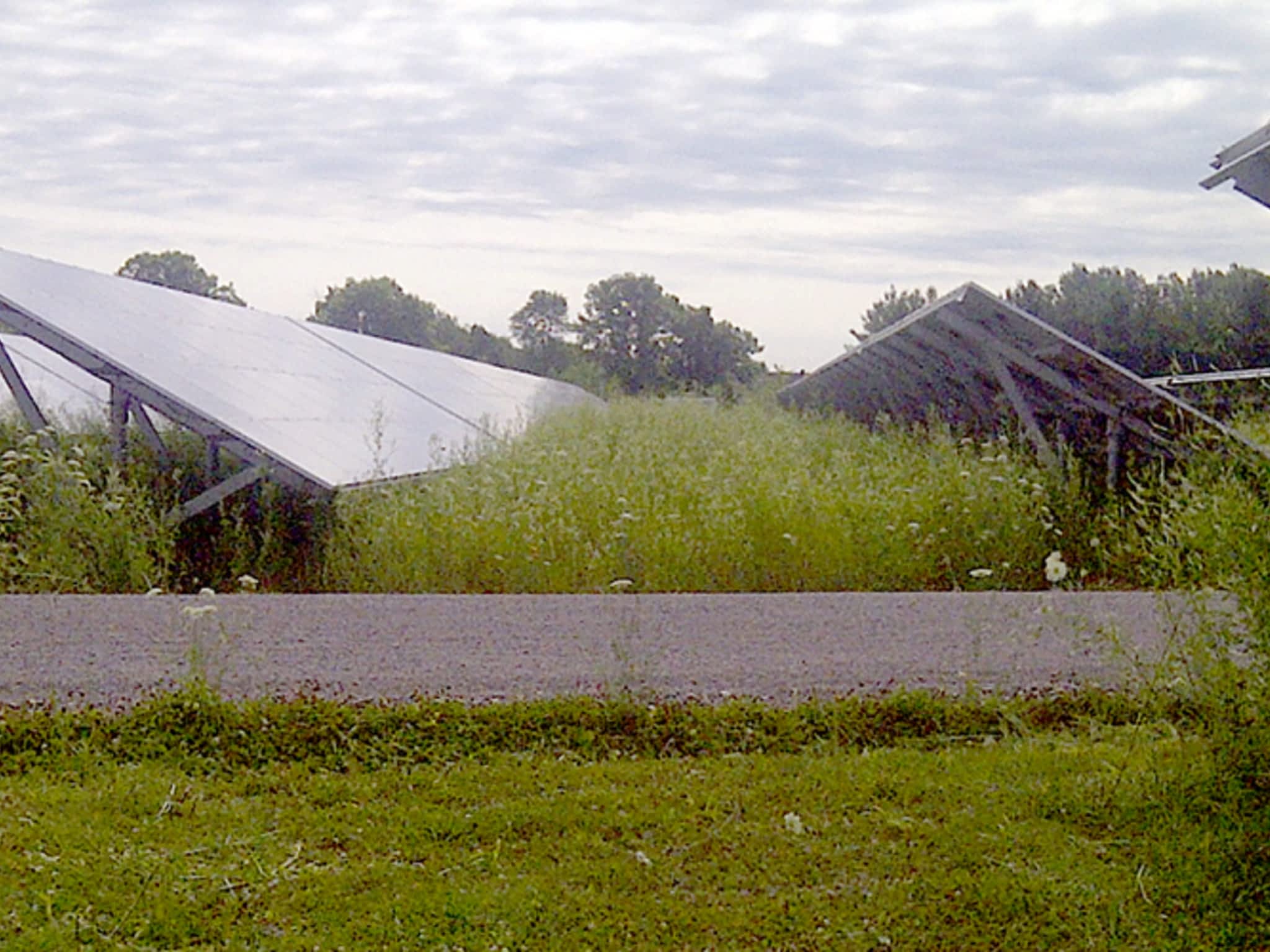 photo Wagar & Corput Weed Control Inc