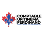 Comptable Ufitinema Ferdinand - Systèmes de comptabilité et de tenue de livres