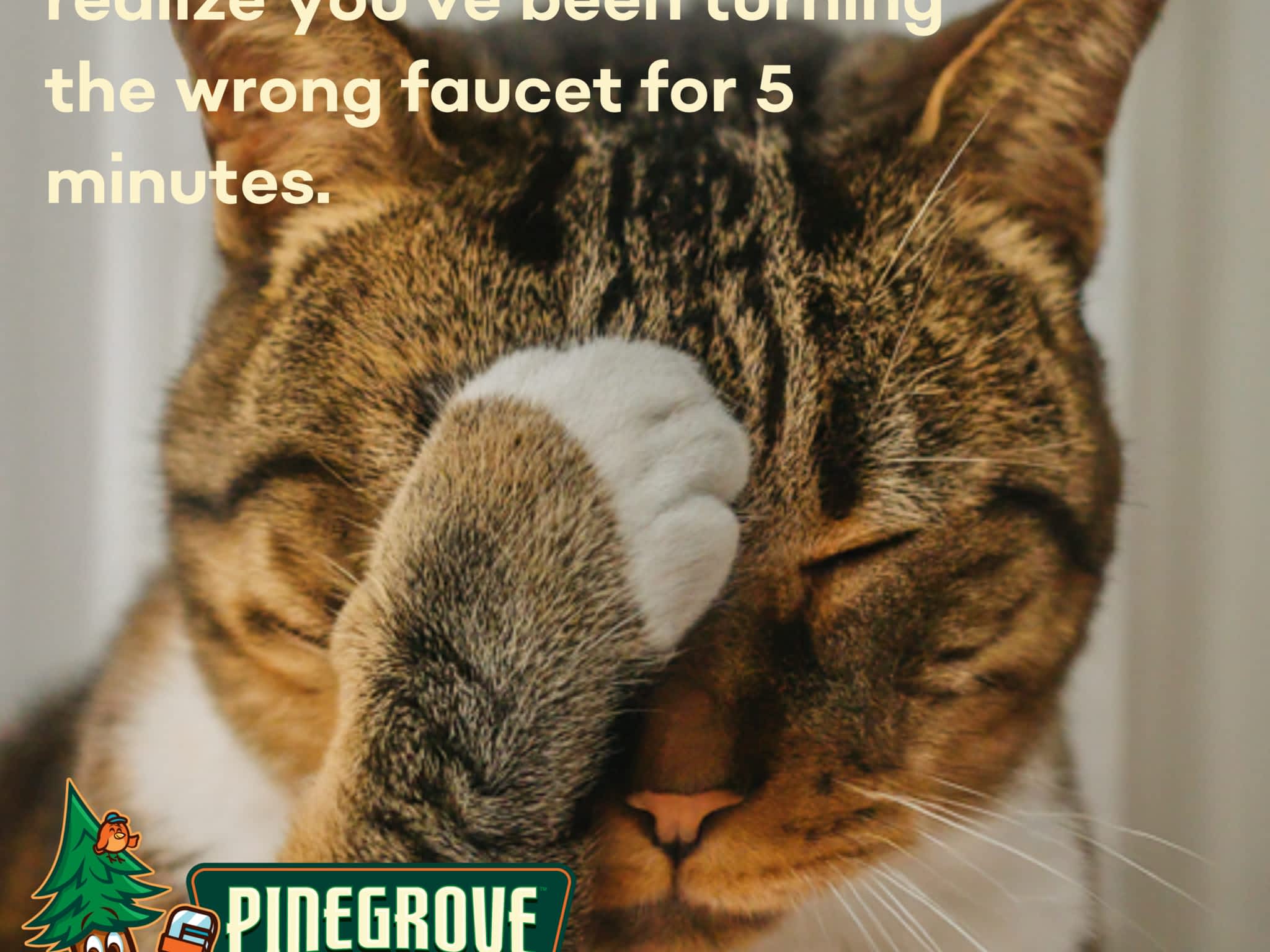 photo Pinegrove Plumbing