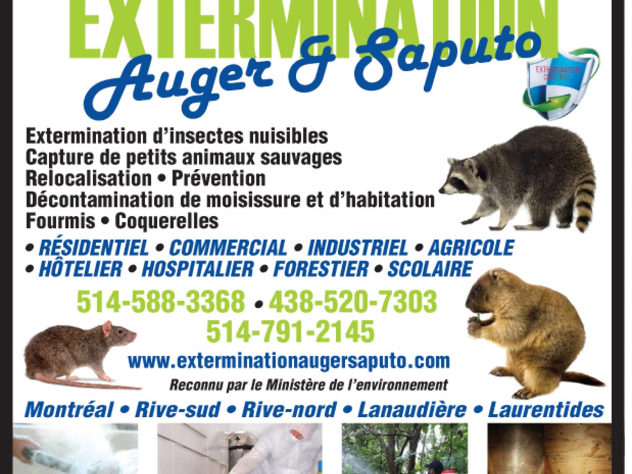 photo Extermination Auger & Saputo