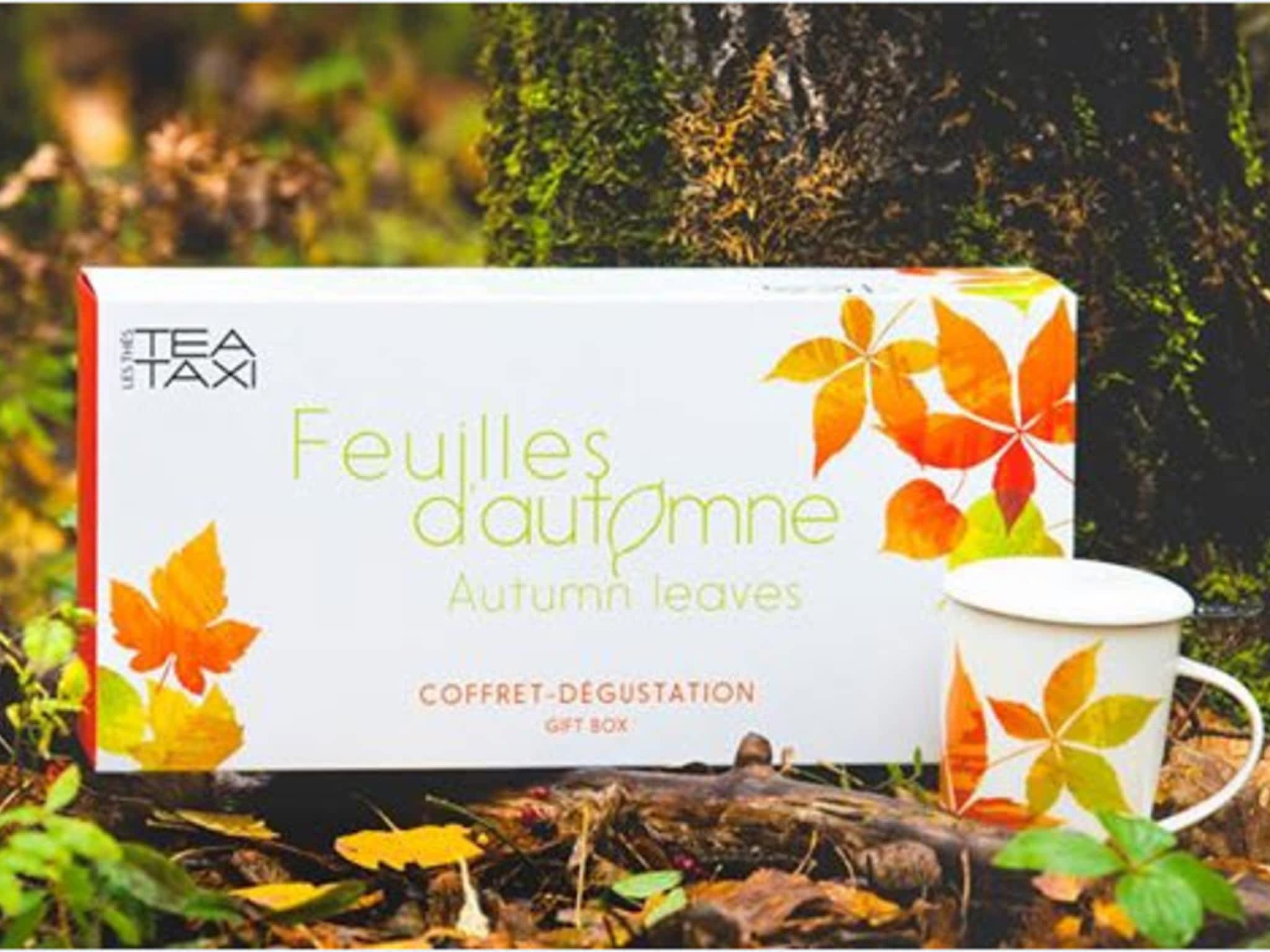 photo Studio Web Ozone