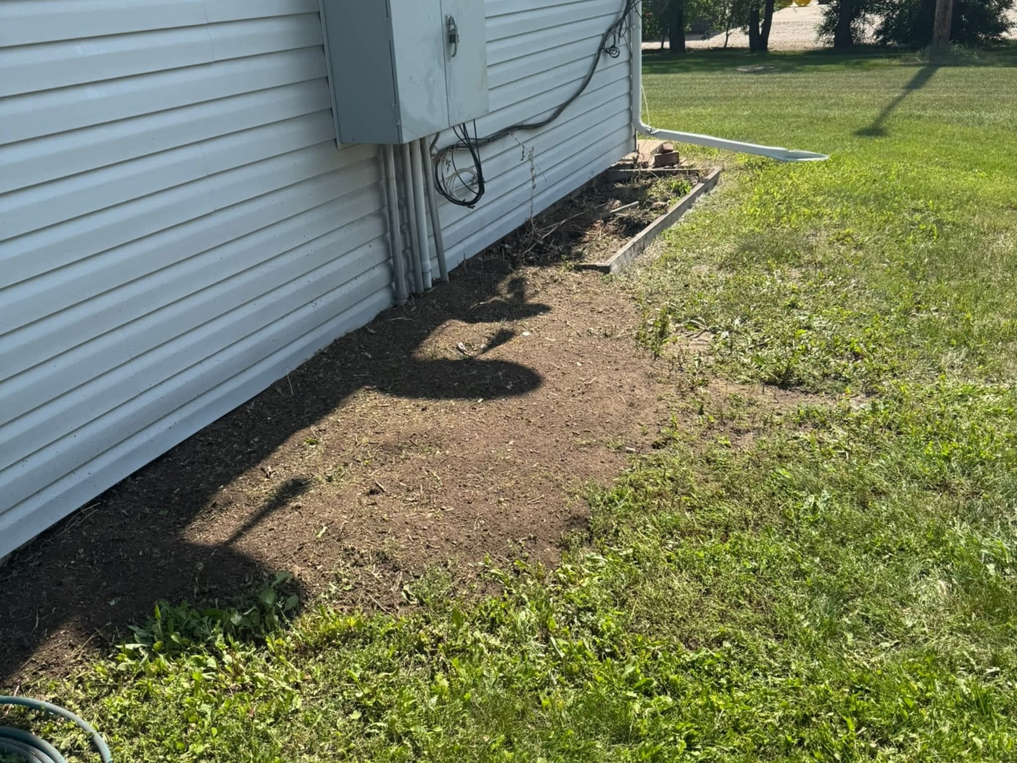 photo KAOS Inc - Tree Services