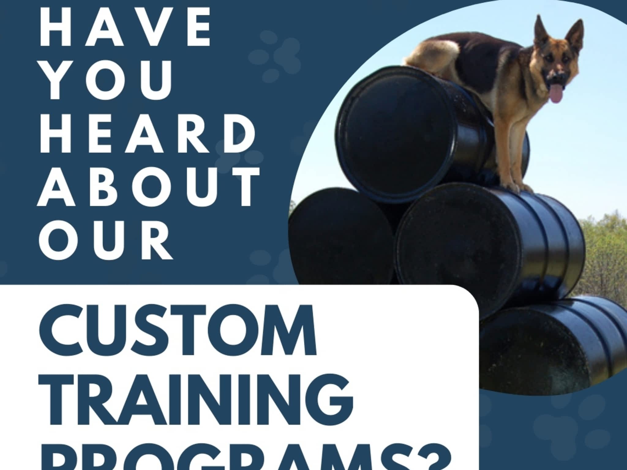 photo Command Control K-9