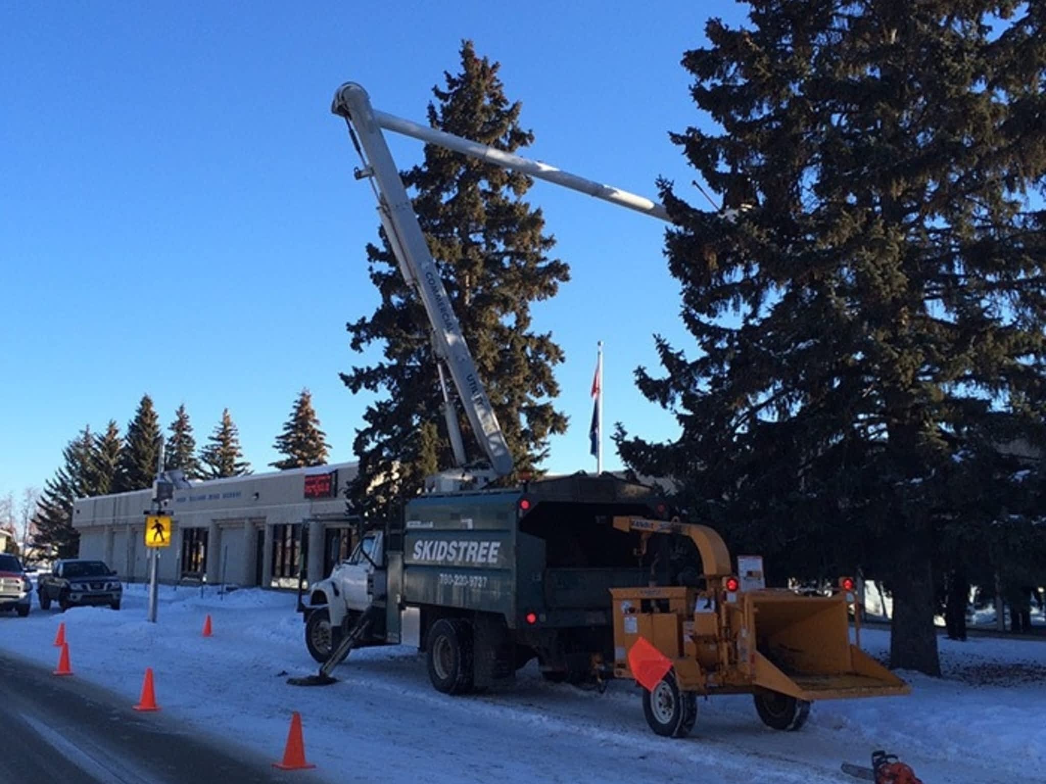 photo Skidstree Services