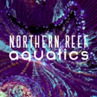 Northern Reef Aquatics - Aquariums et accessoires