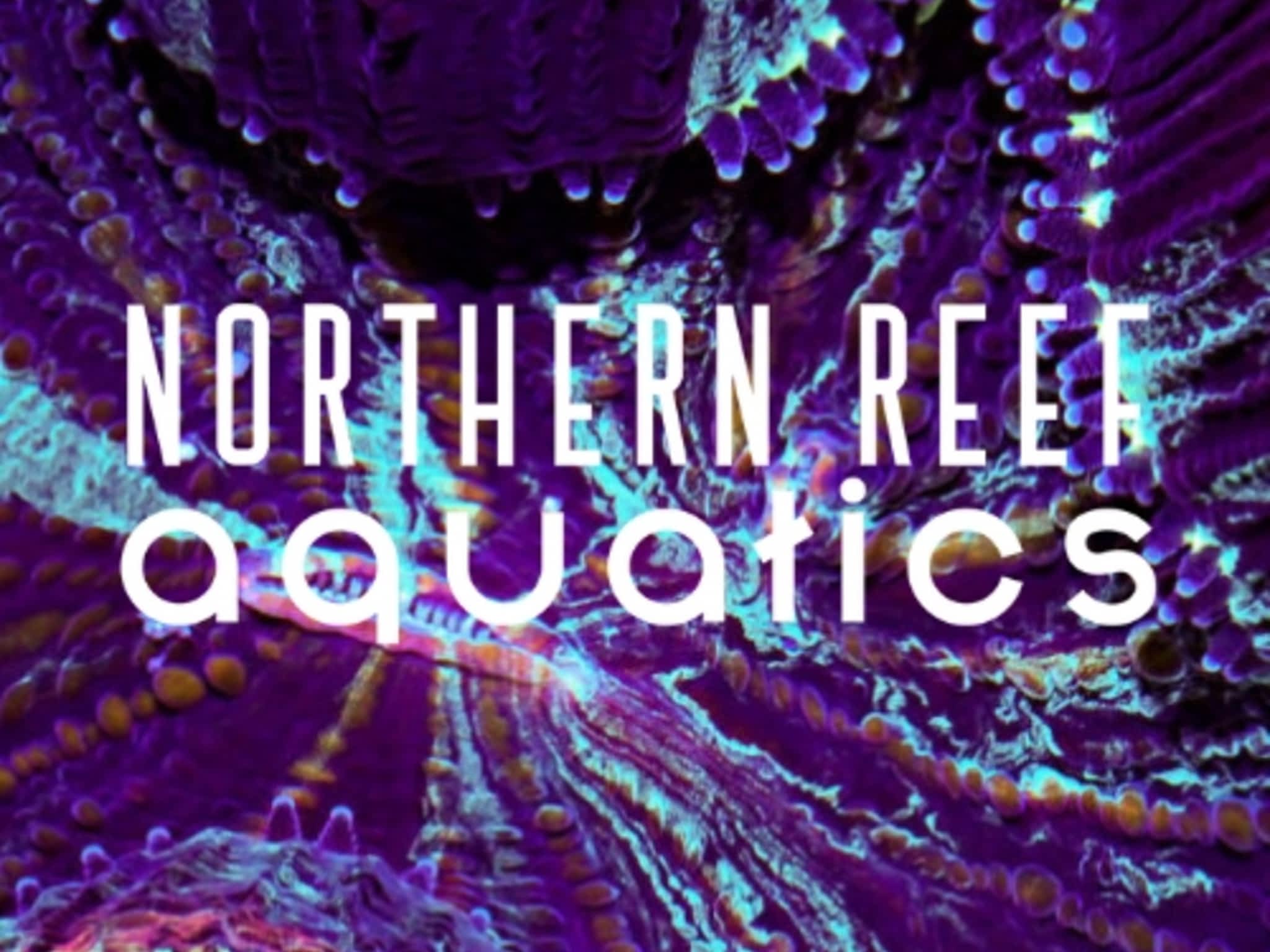 photo Northern Reef Aquatics