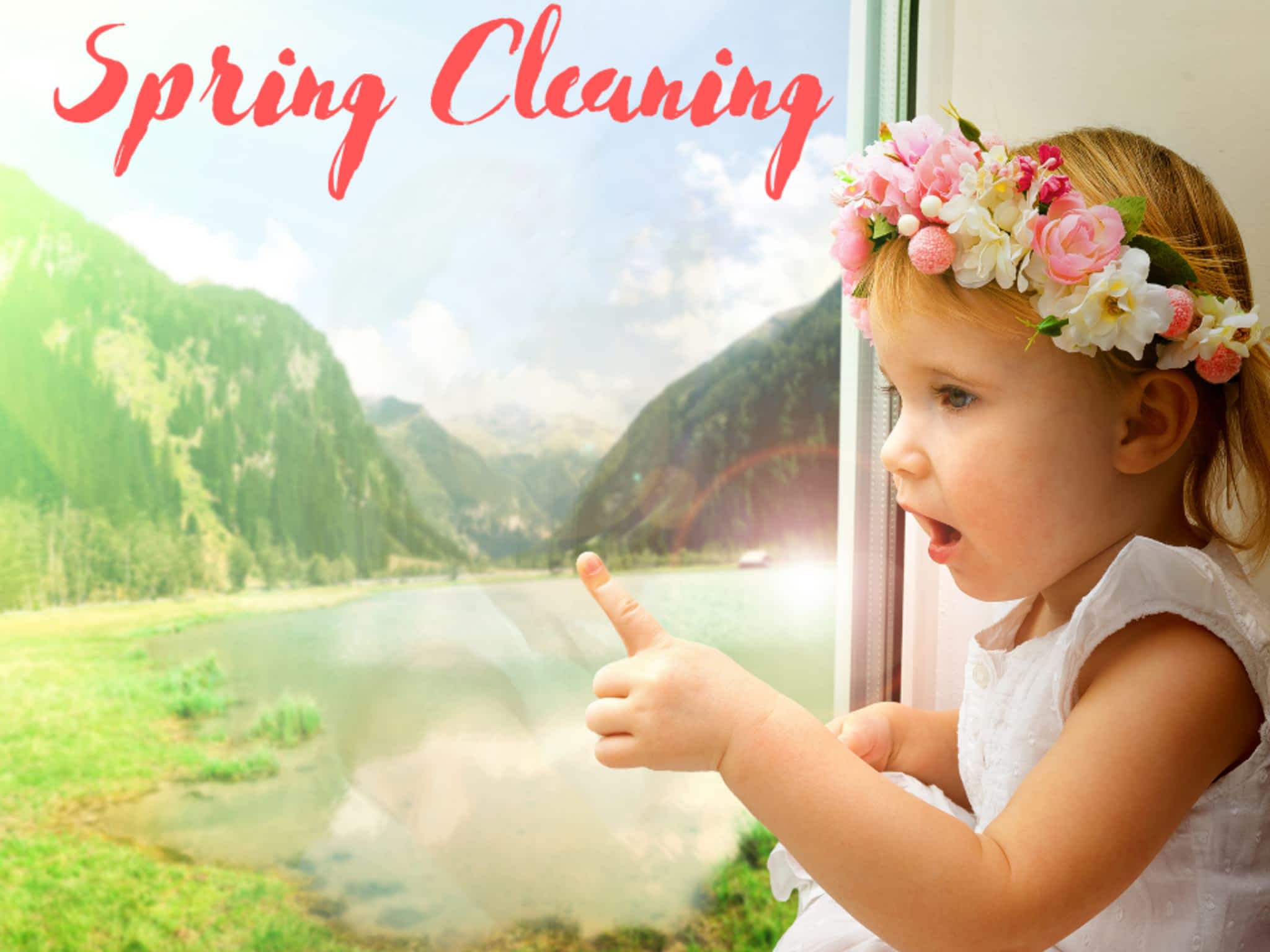 photo The Window Guy