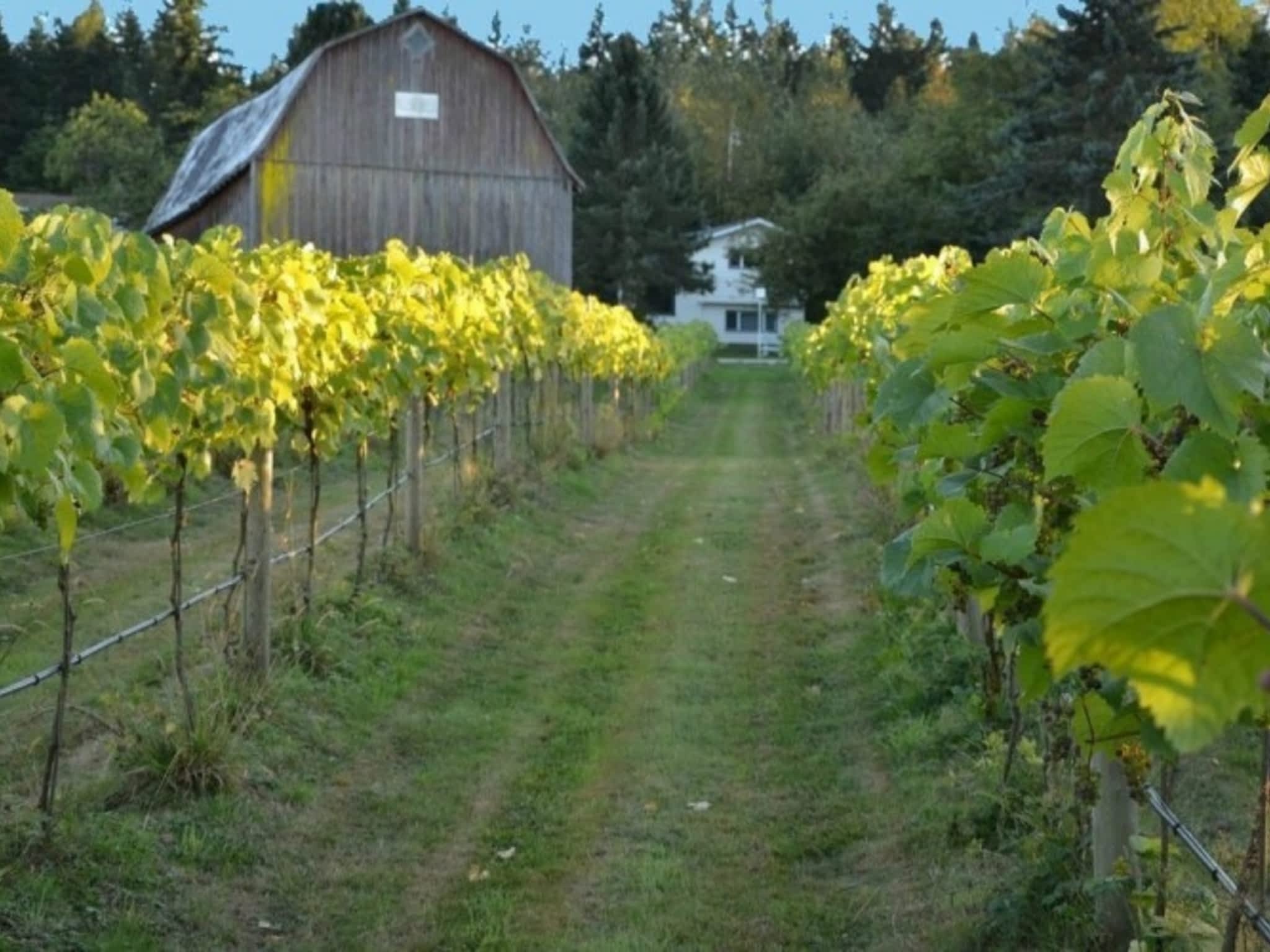 photo Vista D'Oro Farms & Winery