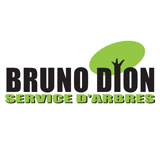 Voir le profil de Dion Bruno Émondeur - Saint-Rédempteur