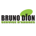 Dion Bruno Émondeur - Logo