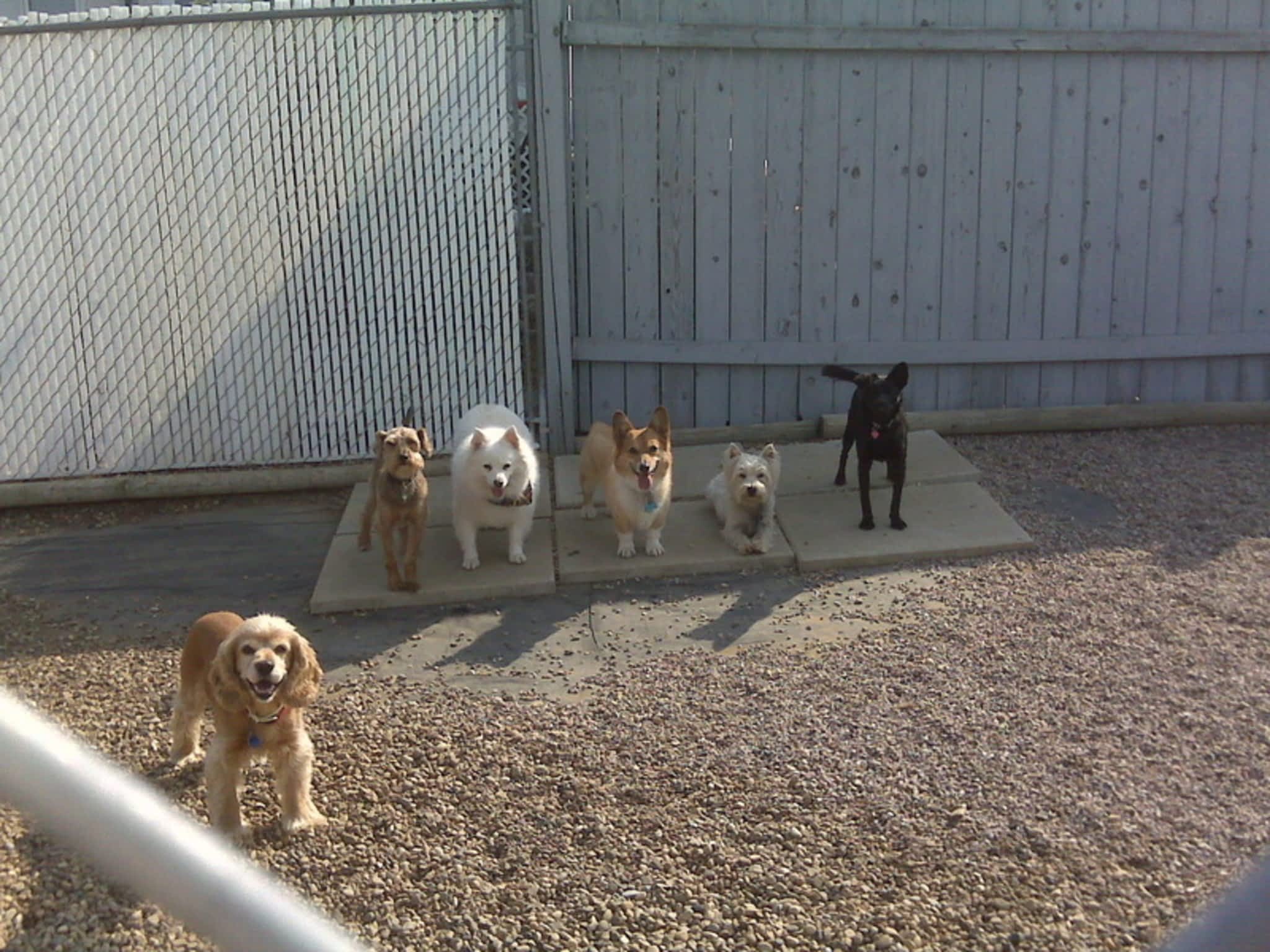 photo Ranch Kennels