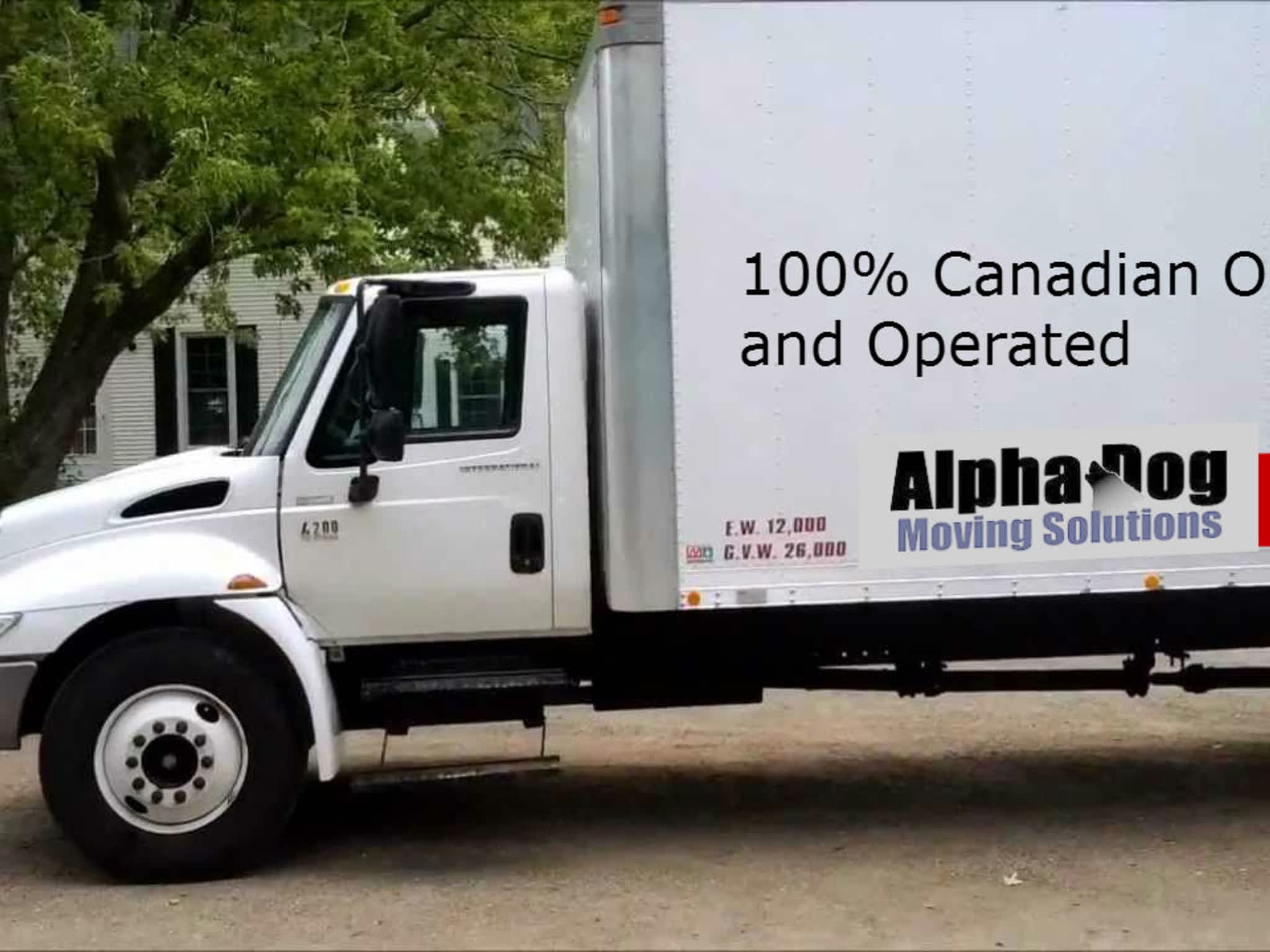 photo Alpha Dog Moving Solutions
