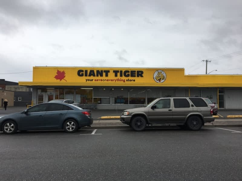 Giant Tiger - Opening Hours - 42 William St, Sturgeon Falls, ON