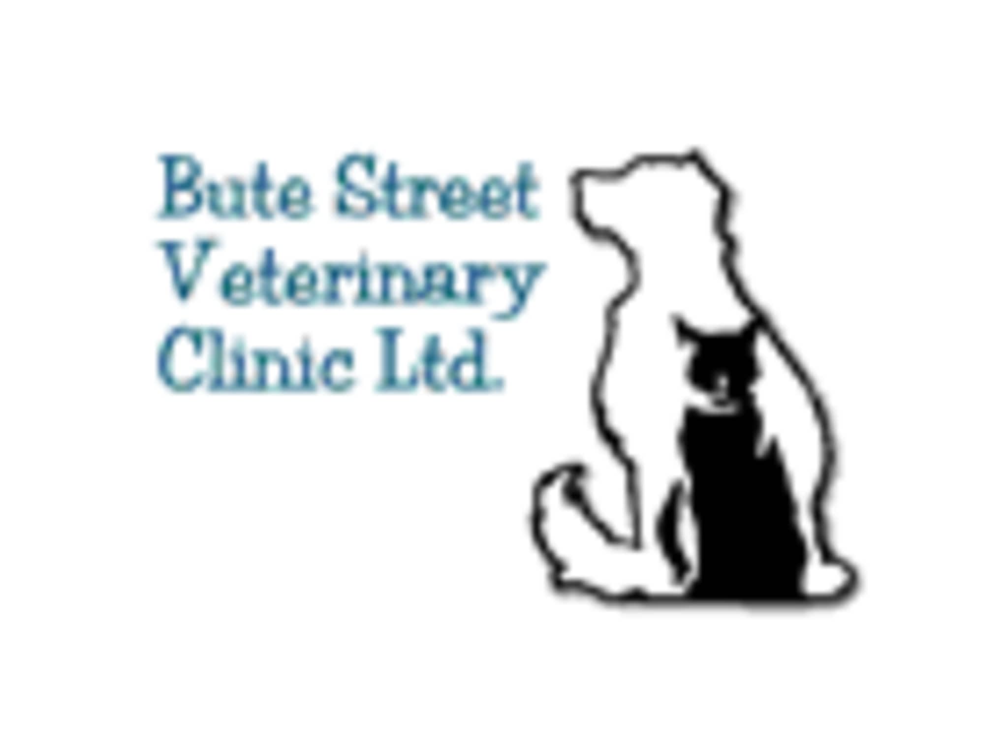 photo Bute Street Veterinary Clinic