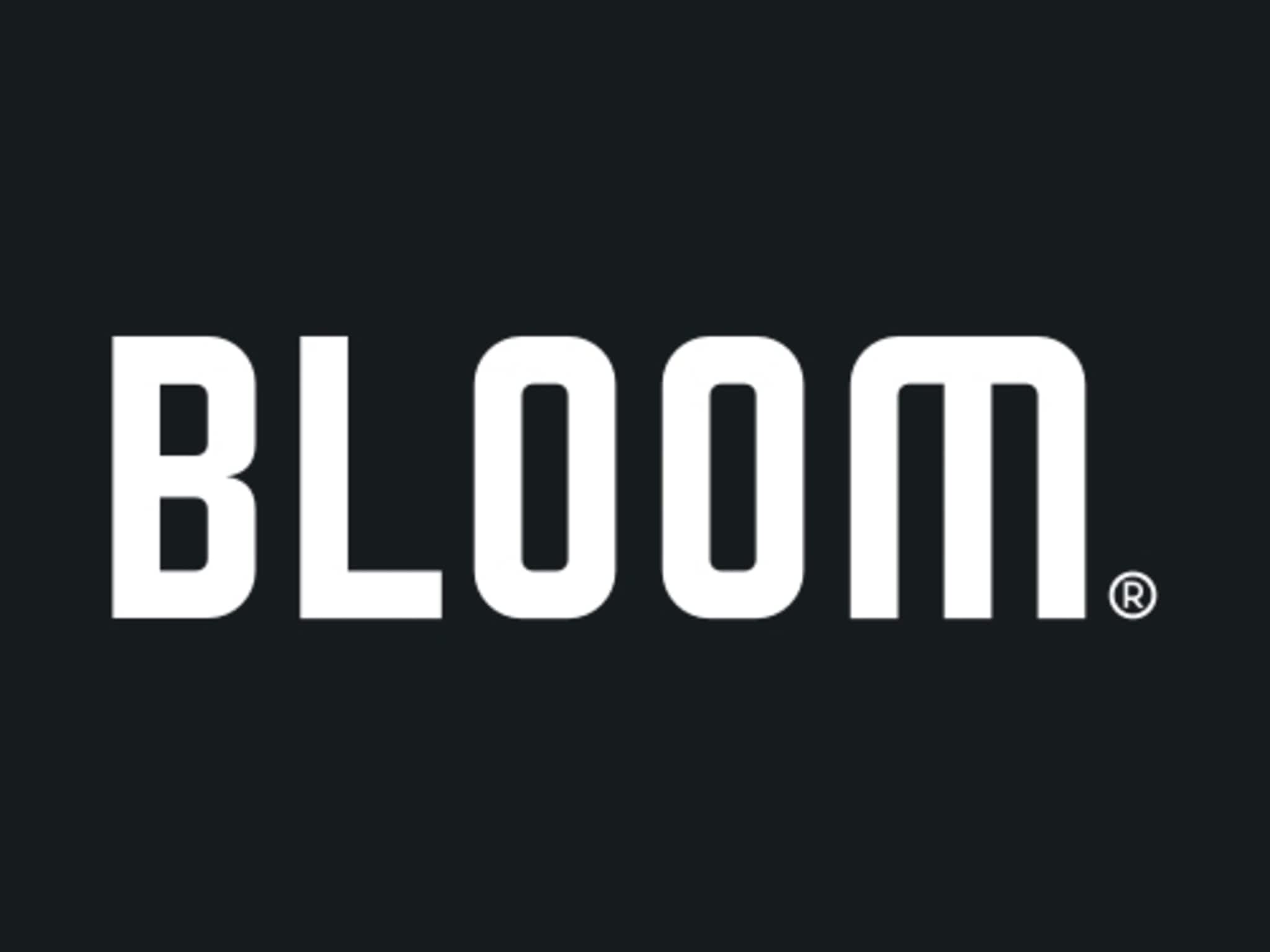 photo Bloom Search Marketing