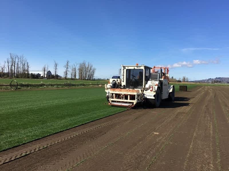 Highland Redi-Green Turf Farms Ltd - Pitt Meadows, BC - 16897 Windsor