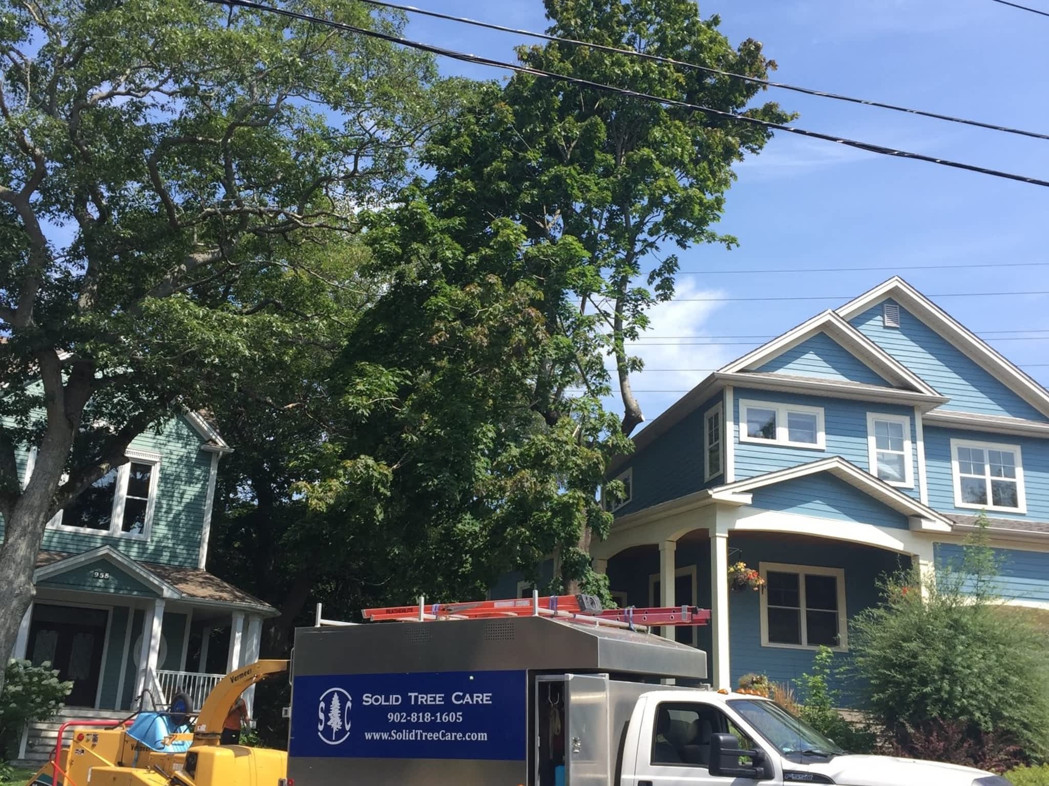 photo Solid Tree Care