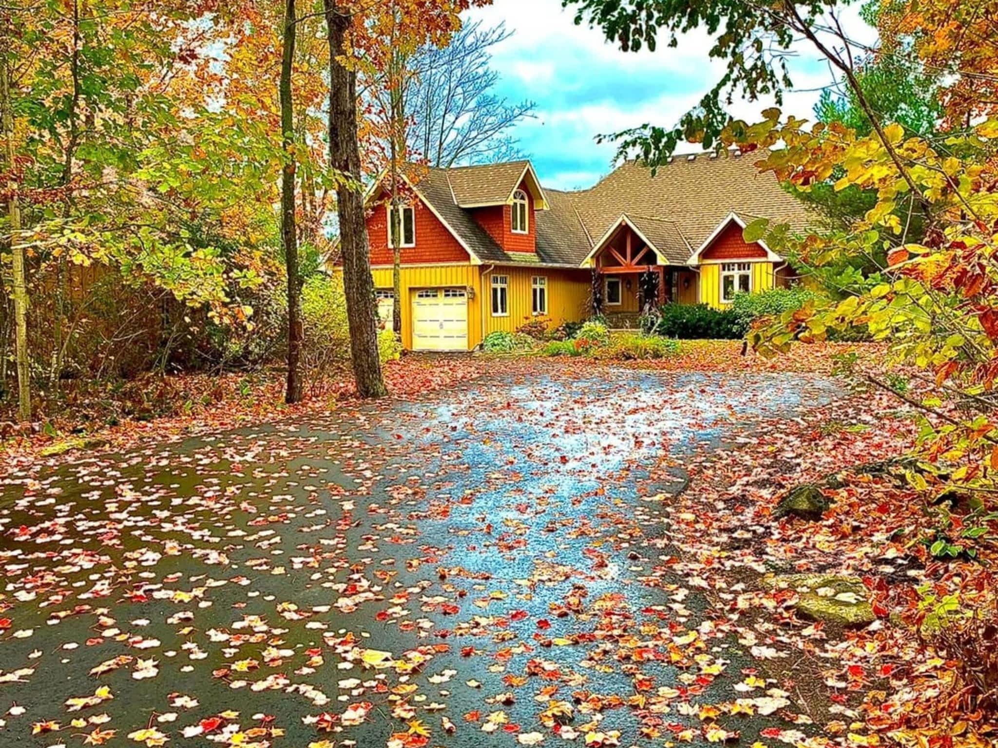 photo Van de Bor Paving Ltd