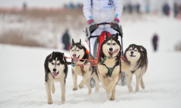 Mountain park winter activities near Calgary