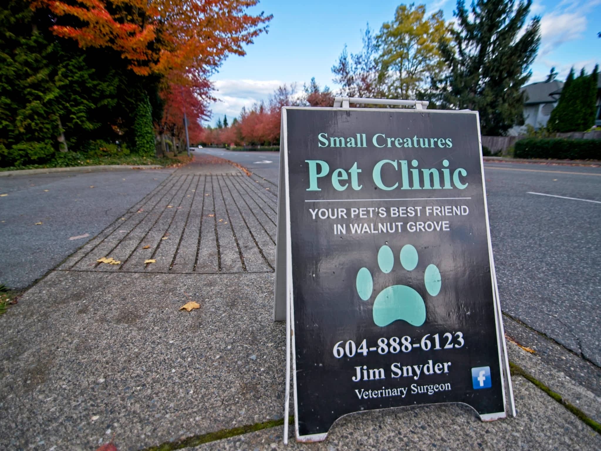 photo Small Creatures Pet Clinic