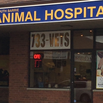 South Barrie Animal Hospital - Vétérinaires