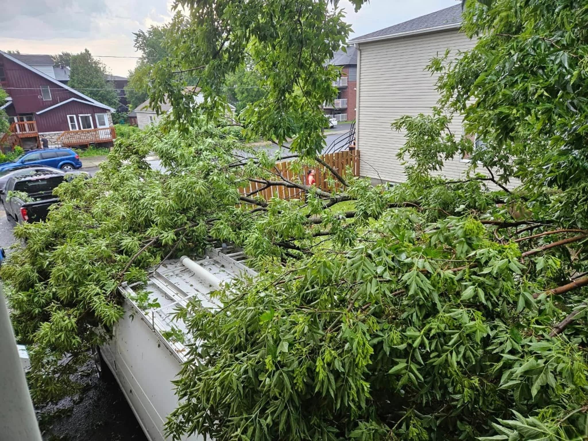 photo Émondage Arboxygène - Élagage, Abattage, Déboisement Longueuil