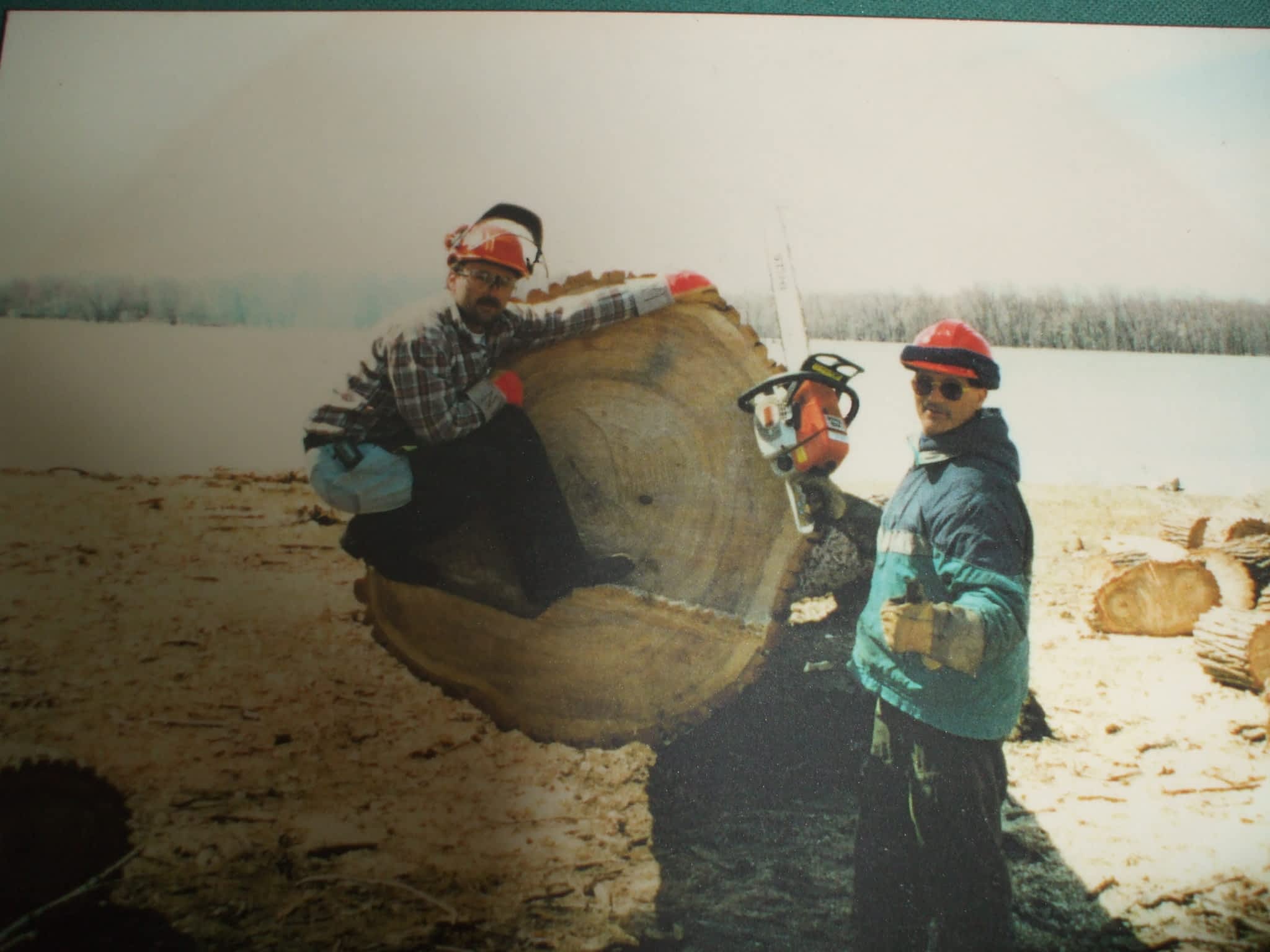 photo Sainte-Julienne's Tree Pruning and Felling