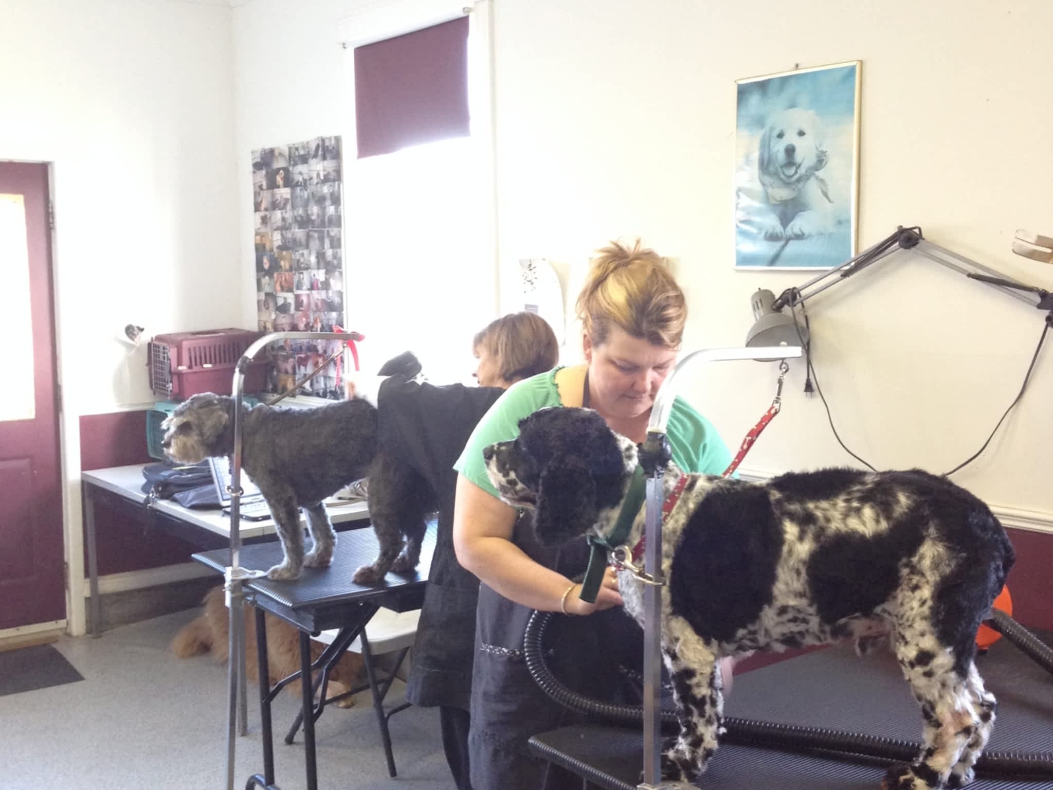 photo Added Touch Pet Grooming