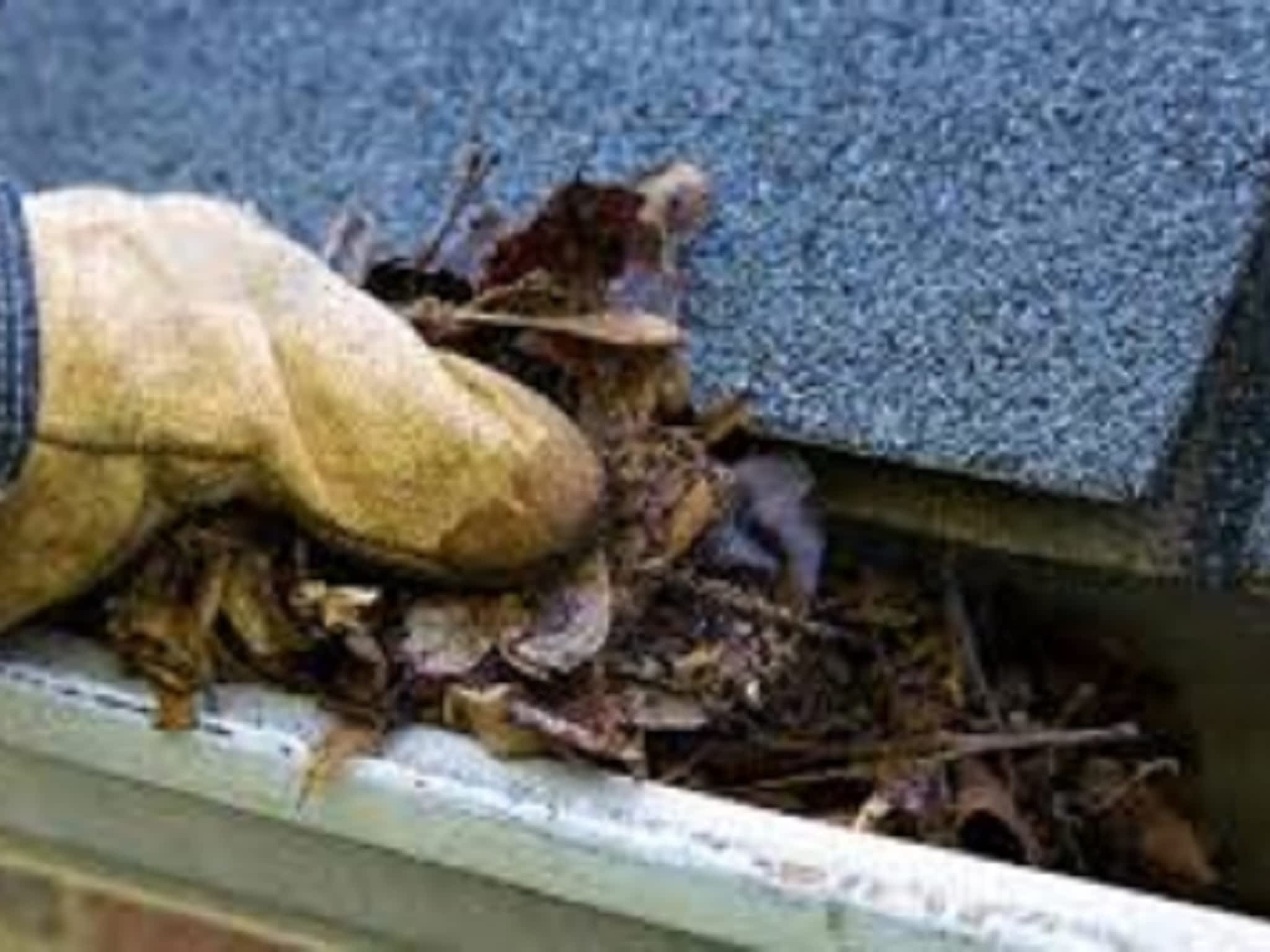 photo A&P Windows Eaves