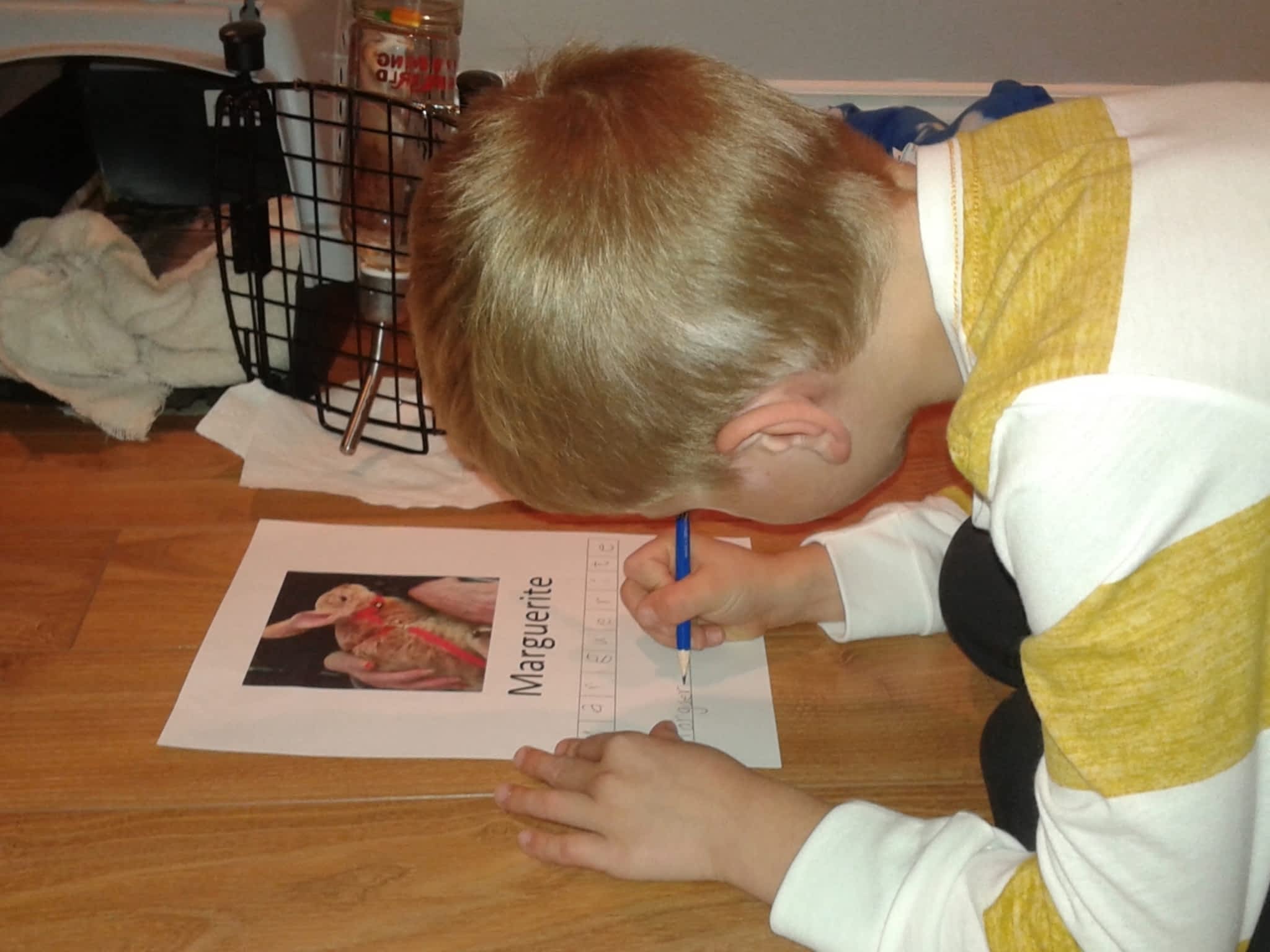 photo Services d'Interventions Mélissa Robitaille