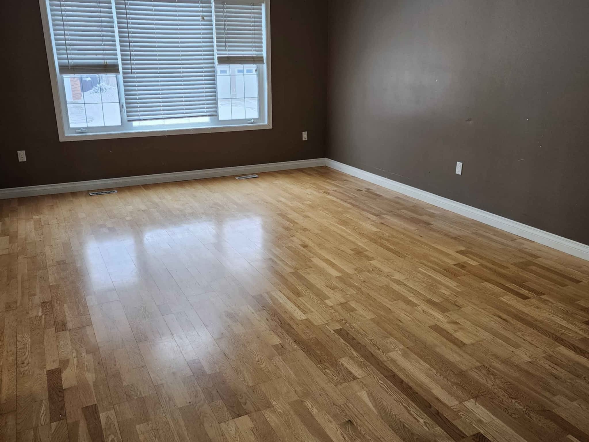 photo Ready Aim Clean