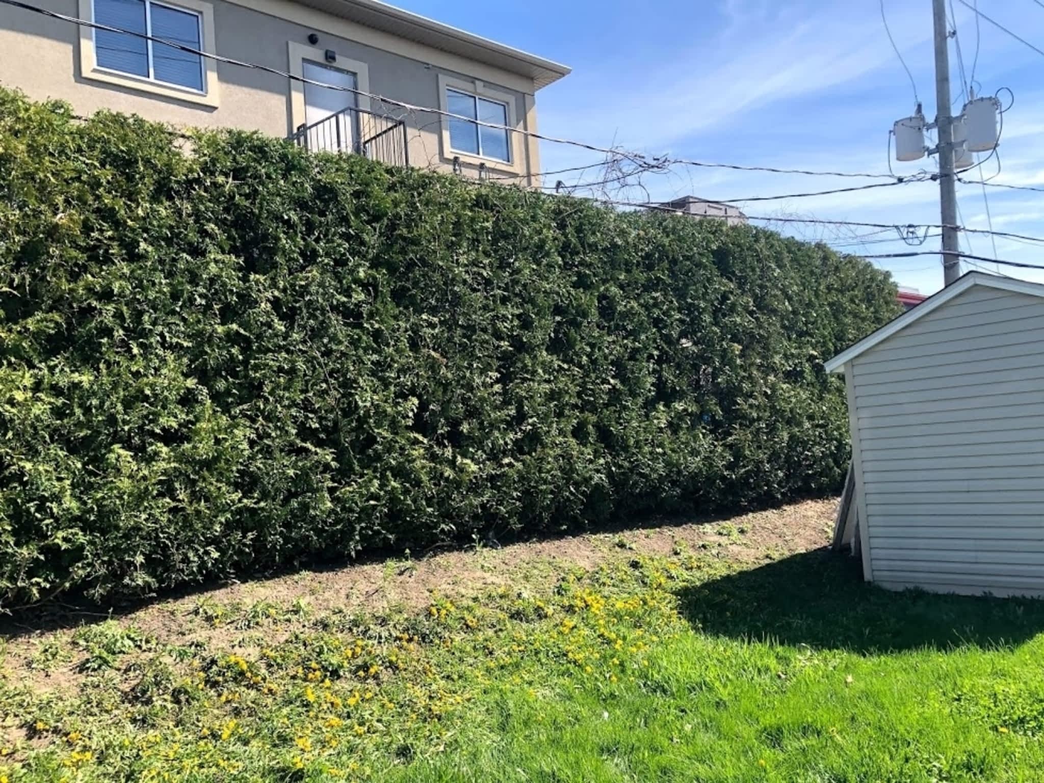 photo Cèdre Esthetique