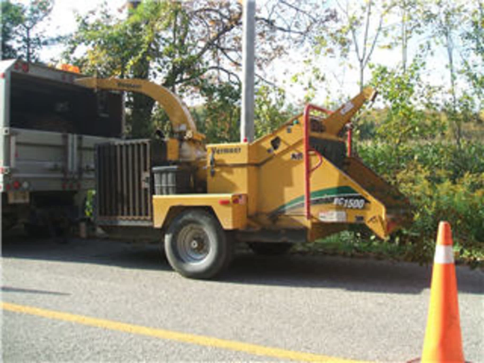 photo Quality Tree Service