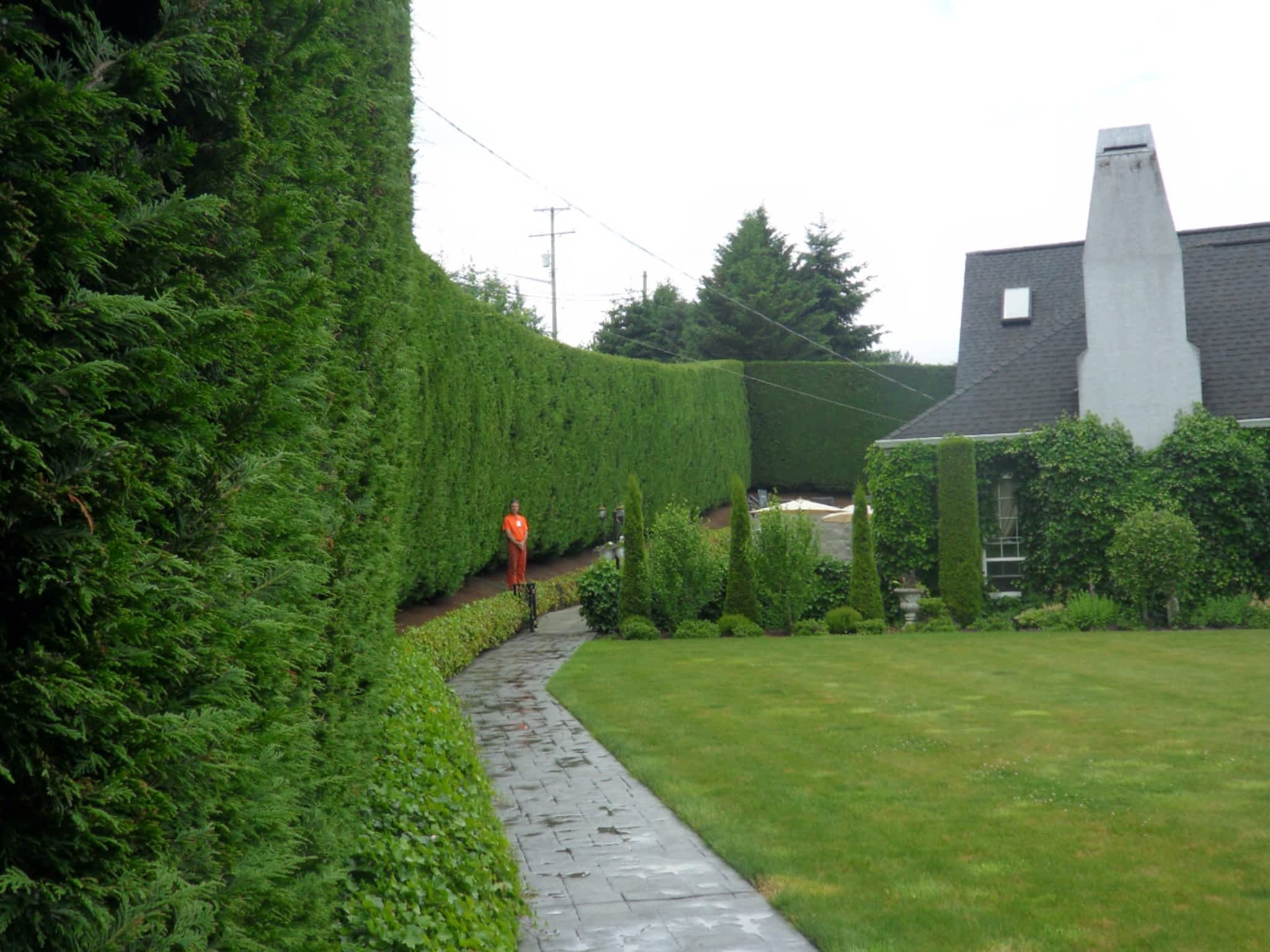 photo High Line Environmental