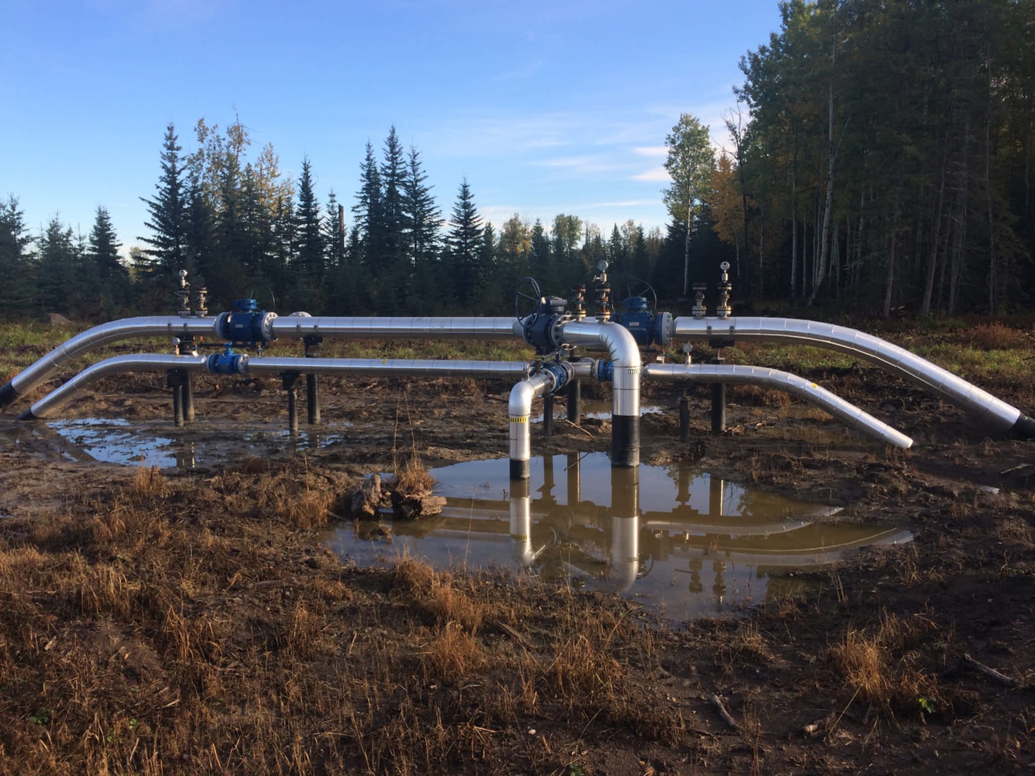 photo Reliable Insulation