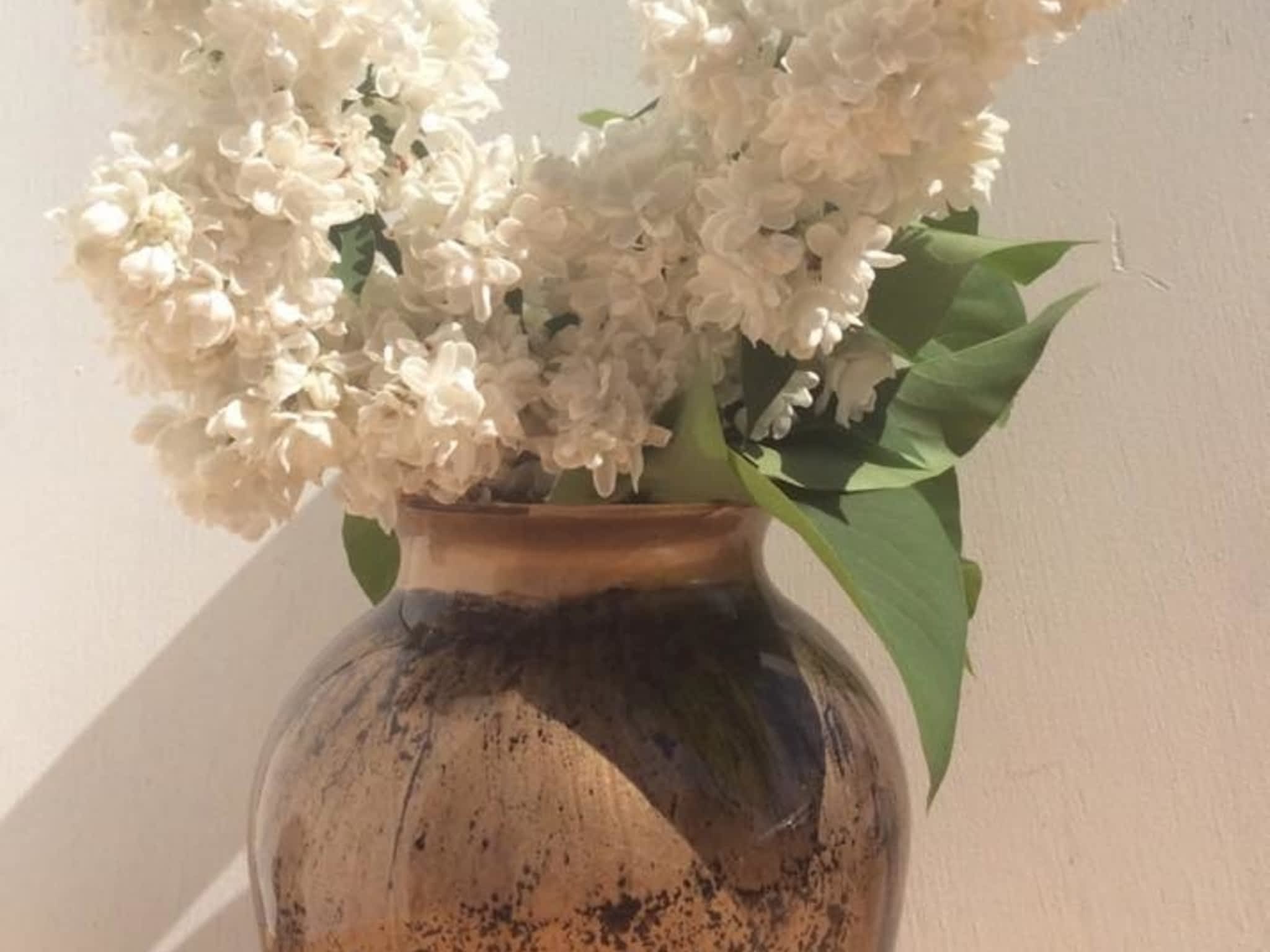 photo Unicorn Spit Canada