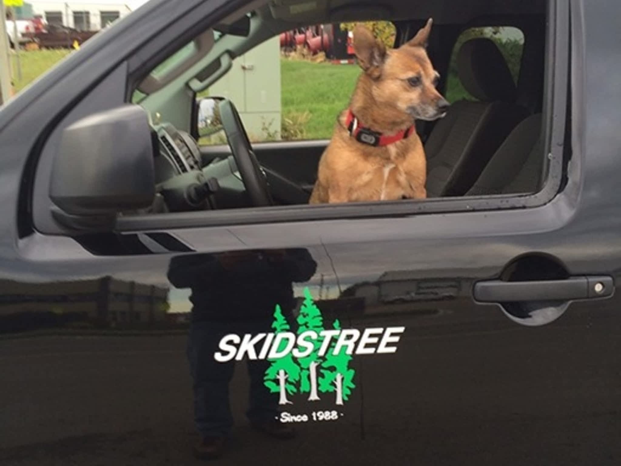 photo Skidstree Services