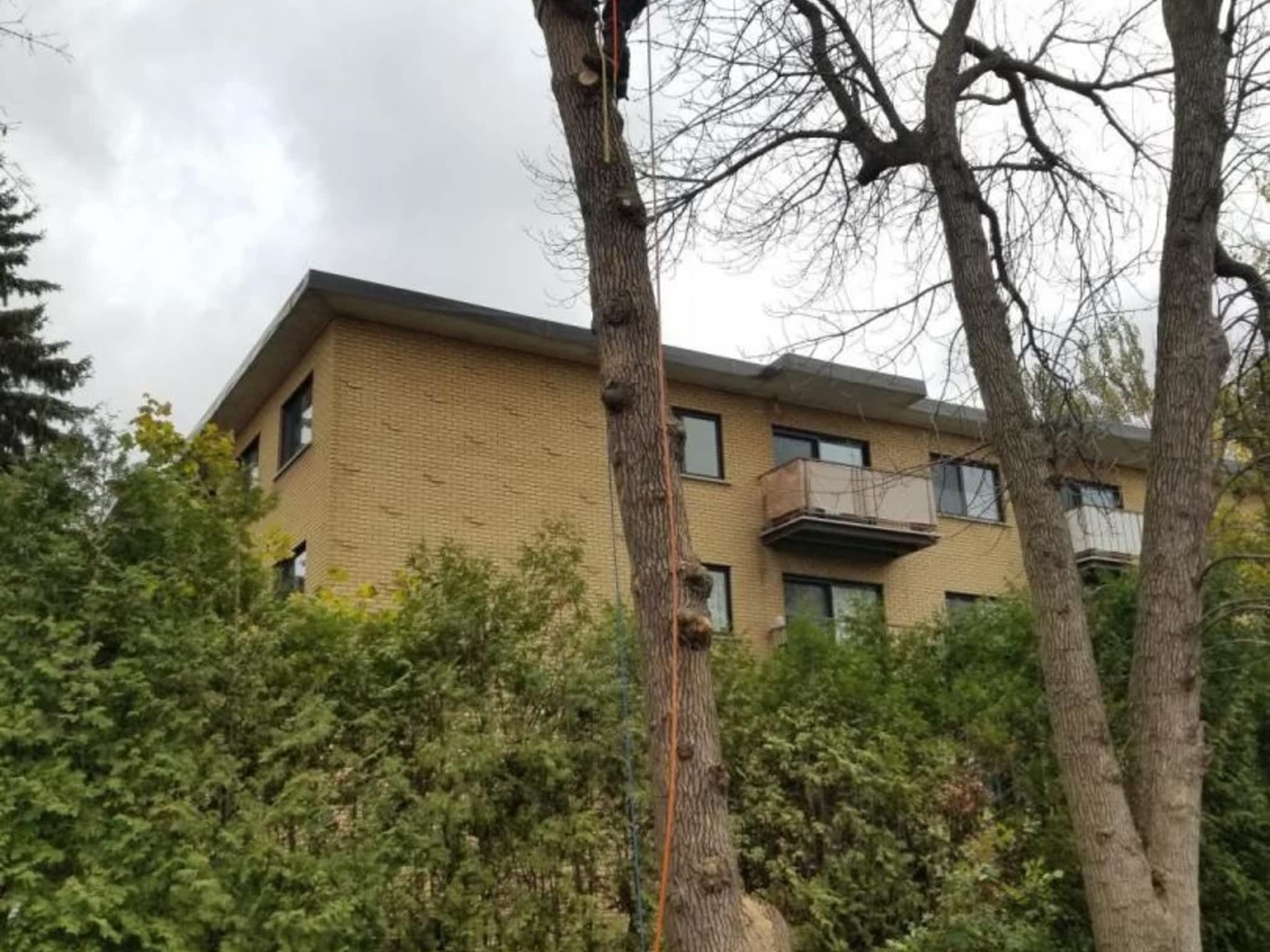 photo Arboriculture Arbo-Scape