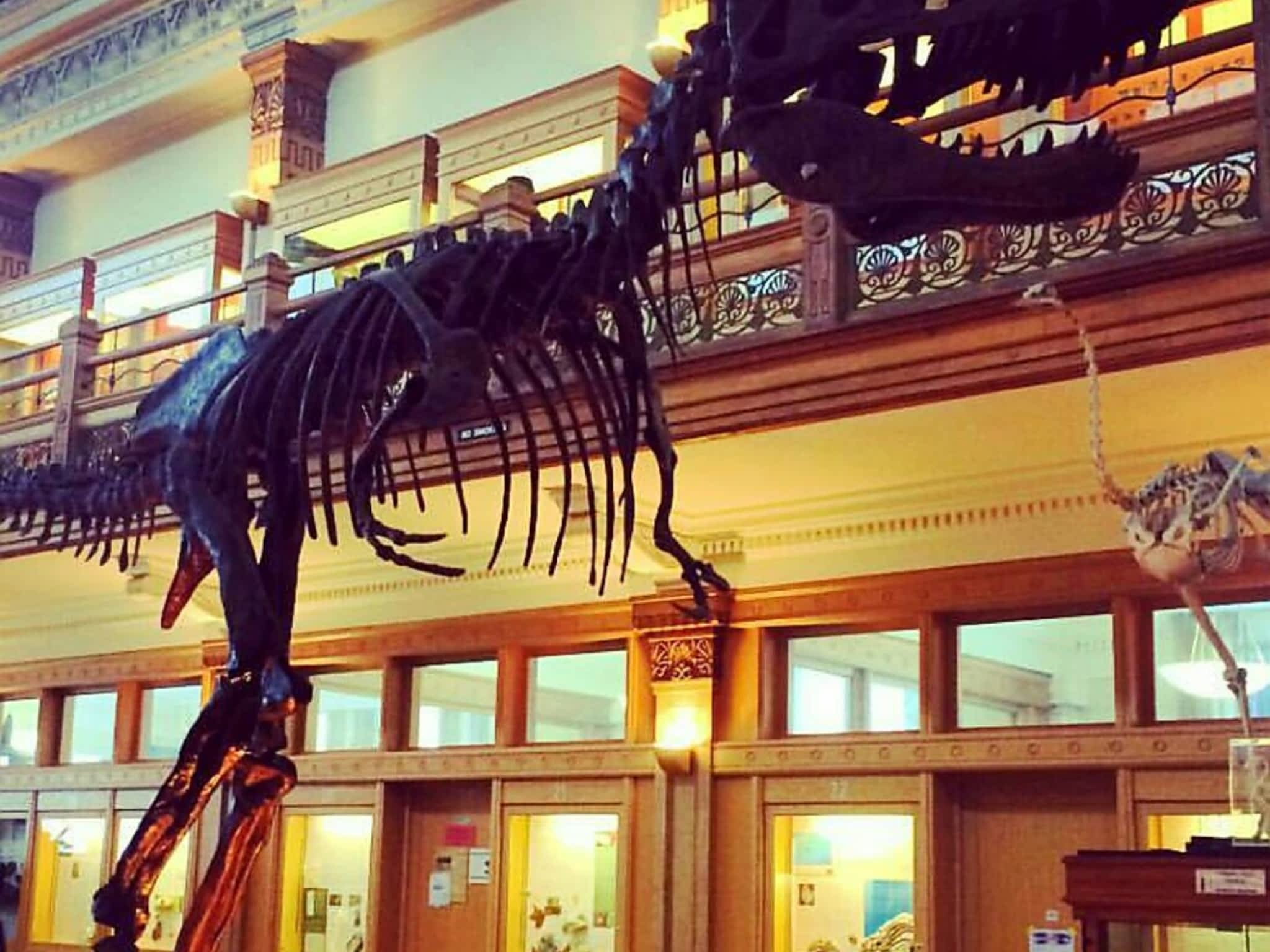 photo RedPath Museum