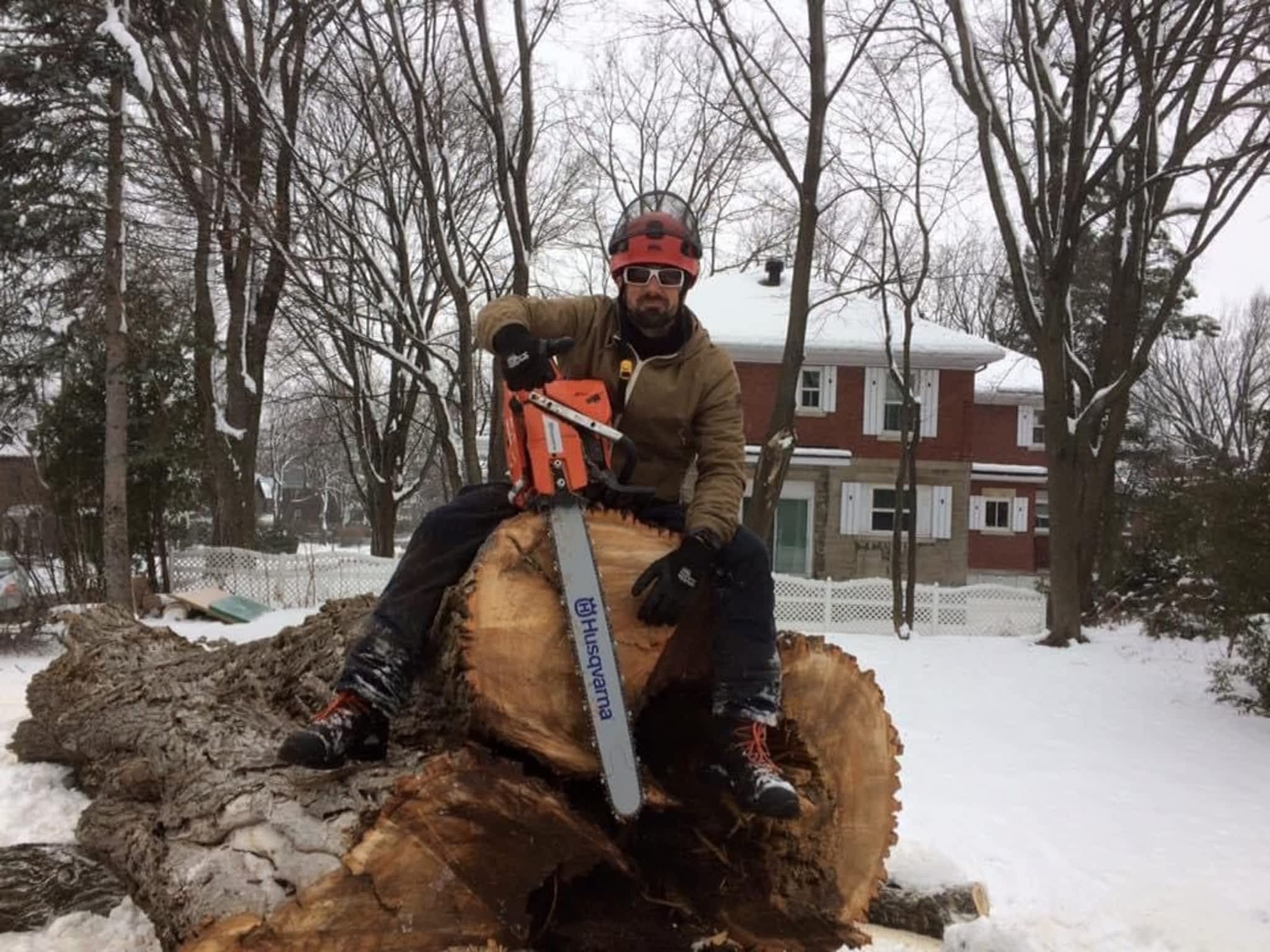 photo Arboriculture DB Inc.