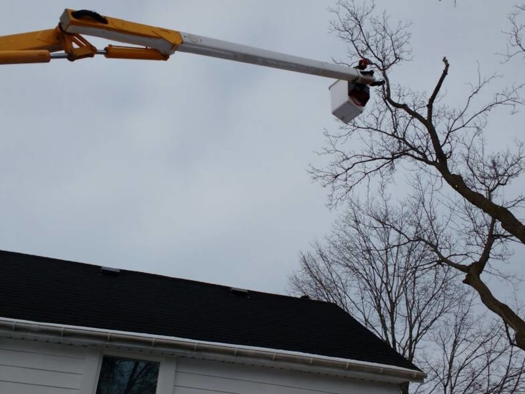 photo Deep Roots Quality Tree Services