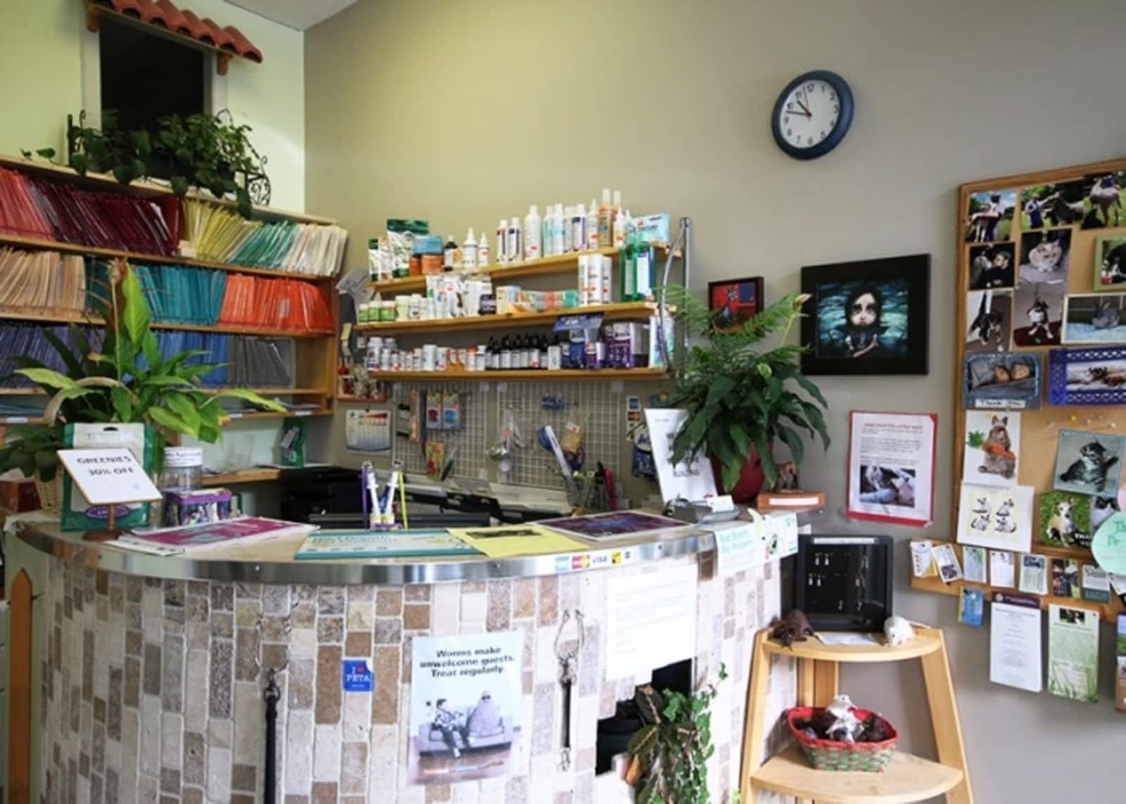 little paws pet clinic