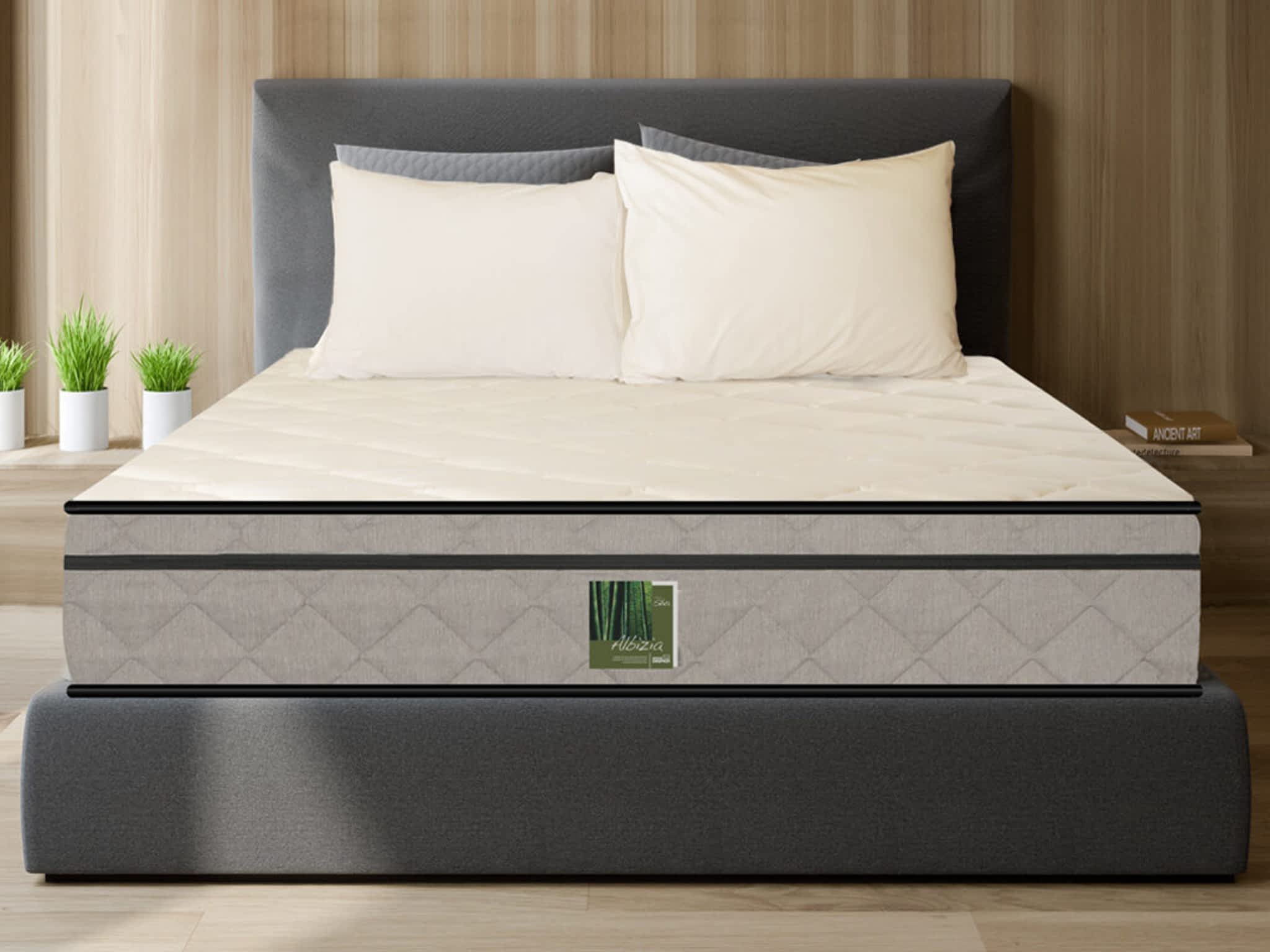 photo Matelas Dauphin