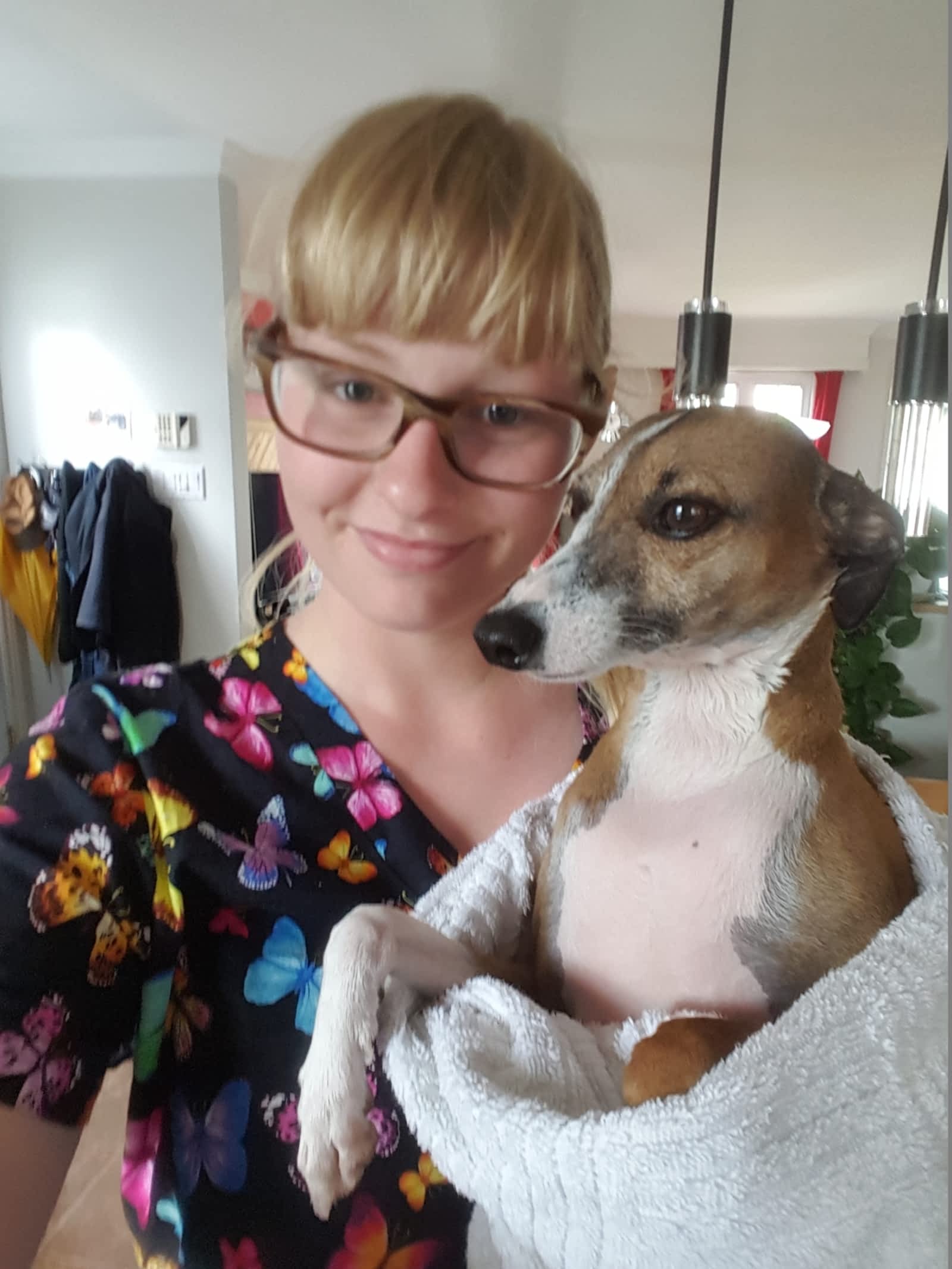 Chez Toutou Damour Horaire Douverture 5449 Rue Du