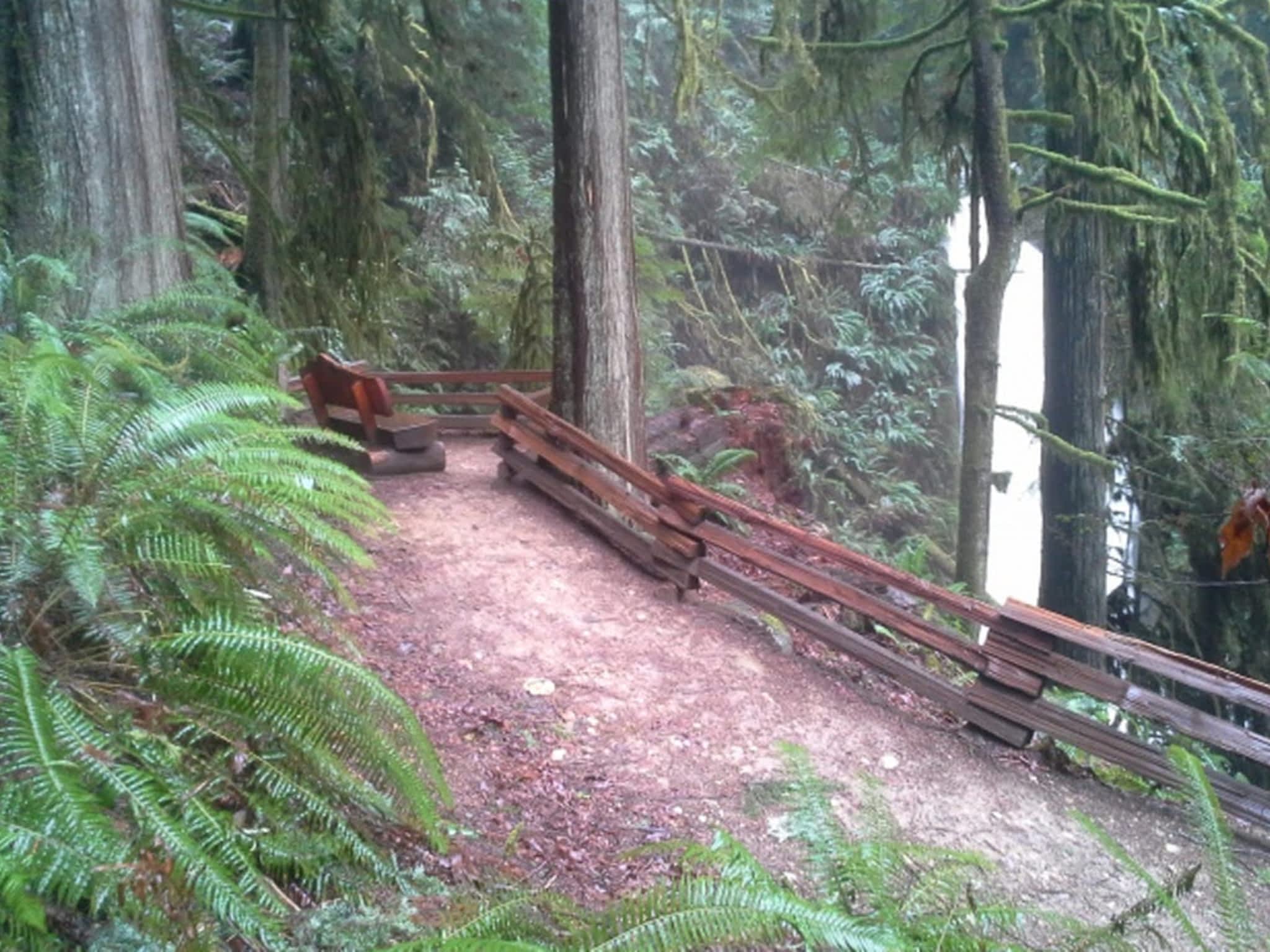 photo Small World Excavating